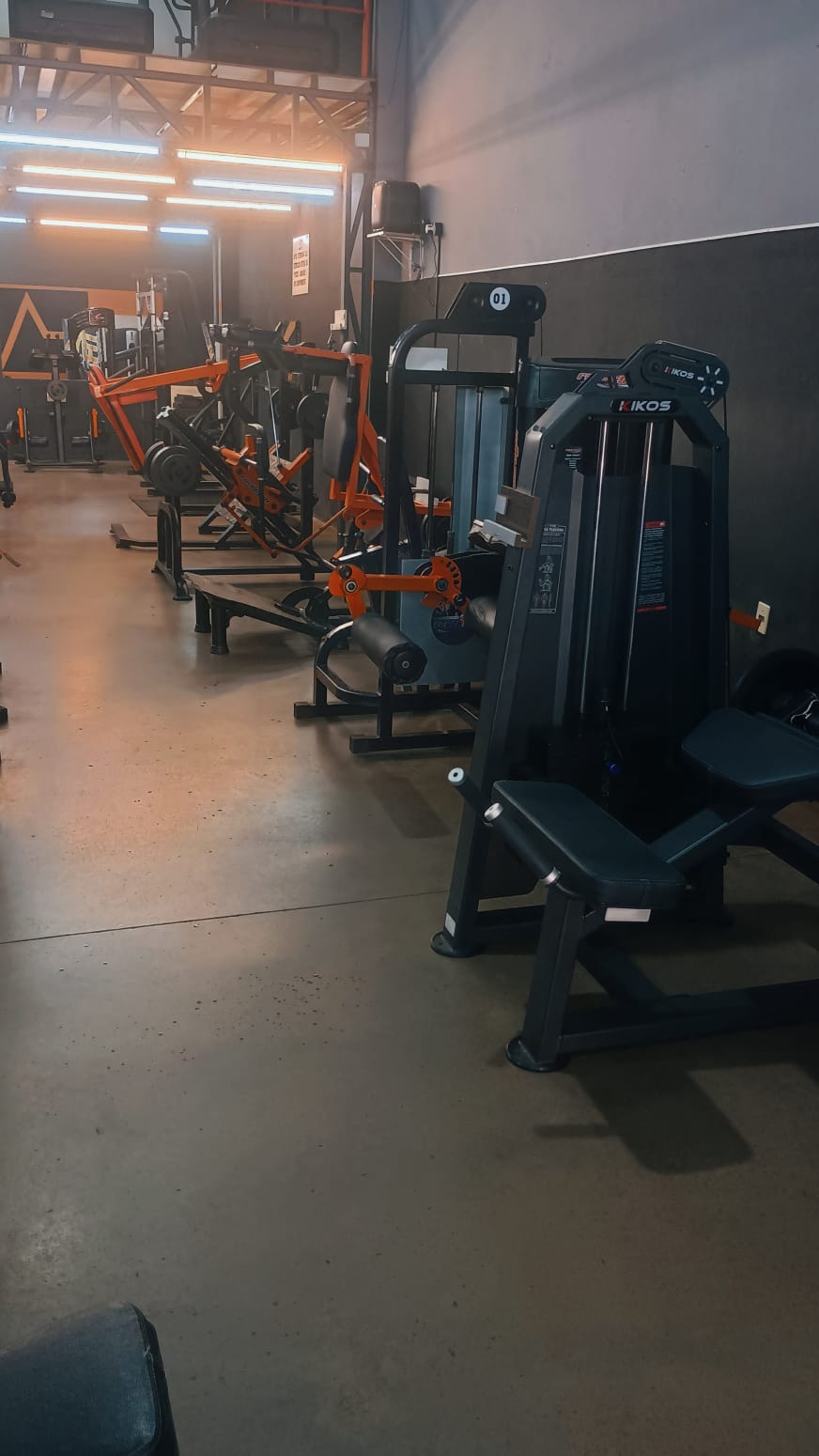 Grupo de pessoas fazendo exercícios de fitness